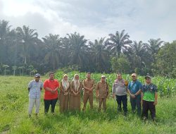 Dukung Program Asta Cita Presiden RI, Personil Polsek Ikut Cek Lahan Ketahanan Pangan Desa Simpang beringin Kec. Bandar Seikijang